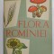FLORA ROMANIEI , EDITIA A III - A de I. SIMIONESCU , 1961 * DEFECT COTOR