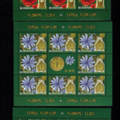 Romania 2013 Flora Ceasul Florilor 3 Minicoli 8 timbre + vinieta MNH LP 1966