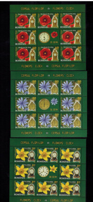 Romania 2013 Flora Ceasul Florilor 3 Minicoli 8 timbre + vinieta MNH LP 1966 foto