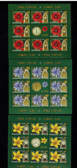 Romania 2013 Flora Ceasul Florilor 3 Minicoli 8 timbre + vinieta MNH LP 1966