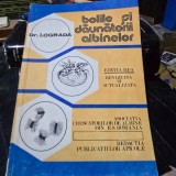 Bolile si daunatorii albinelor - I. Ograda