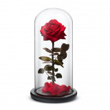 Cumpara ieftin Trandafir Criogenat rosu premium &Oslash;8cm in cupola sticla 12x25cm