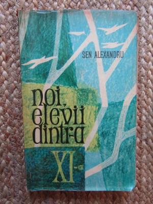 Noi elevii dintr-a XI-a - Sen Alexandru foto