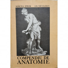 Compendiu de anatomie - Mircea Ifrim, Gh. Niculescu foto