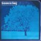 Disc vinil, LP. Seasons In Song. Music For The Starlight Hours-COLECTIV-241313