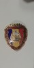 QW9 N2 71 - insigna - militar - comunism - Militar de frunte - format mic, Romania de la 1950
