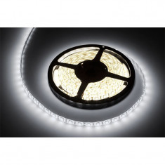 BANDA LED 5M PROTECTIE IP65 ALB RECE EuroGoods Quality foto