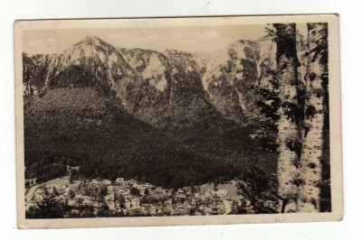 BUSTENI VEDERE GENERALA RPR foto