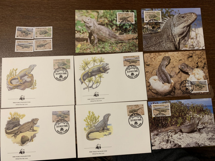 turks - reptile - iguana - serie 4 timbre MNH, 4 FDC, 4 maxime, fauna wwf