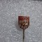 insigna Rapid Brasov