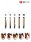 icon 2