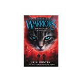 Warriors: The Broken Code #5: The Place of No Stars