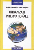 ORGANIZATII INTERNATIONALE-ANTON CARPINSCHI-352197