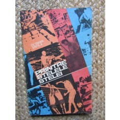 Printre Stelele Stelei - Octavian Vintila