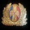 QW14 - Emblema militara / cuc - aviatie - anii 1990 - piesa de colectie