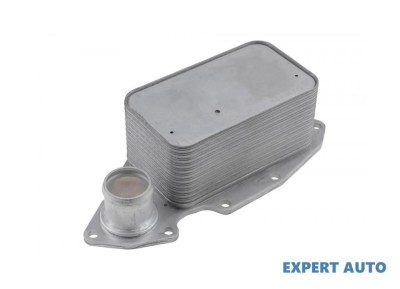 Radiator racire ulei Nissan NV400 (2011-&amp;gt;)[X62,X62B] #1 foto