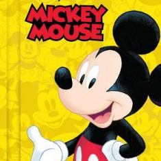 Disney: Ninety Years of Mickey Mouse