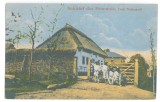 5853 - COUNTRY LIFE, Ethnics, Romania - old postcard - unused