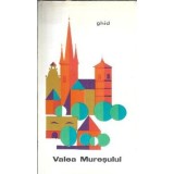 Valea Muresului - monografie - I. Deleanu