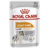 Royal Canin Coat Care, hrana umeda pentru caini, 85 gr