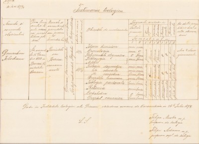 A1552 Testimoniu teologic Caransebeș, copie de epocă, 1874 foto