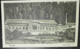 Carte postala, Tusnad, Baia Calda, 1928