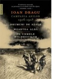 Campania anilor 1916 - 1918. Drumuri de sange. Moartea alba. Pe urmele bolsevicilor - Ioan Dragu