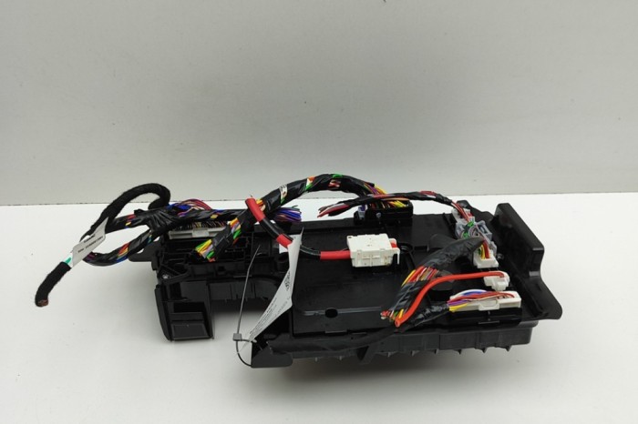 Modul de confort TESLA MODEL Y 2024 OEM: 1657650-00-C 30760838