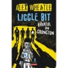 Liccle Bit, baiatul din Crongton - Alex Wheatle, Polirom