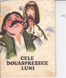 AS - Simion Florea Marian - Cele douasprezece luni