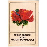 Tudor Arghezi - Ochii Maicii Domnului - Poem - 111809