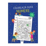 Coloreaza Dupa Numere, - Editura DPH