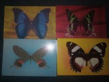 11 CARTI POSTALE PESTI FLUTURI
