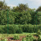 vidaXL Gard plasă de s&acirc;rmă cu bordură, verde, 2,2x10 m