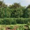 vidaXL Gard plasă de s&acirc;rmă cu bordură, verde, 1,8x25 m