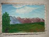 TABLOU PE PANZA SEMNAT, FARA SASIU (A 45/29 cm.), Peisaje, Ulei, Altul