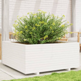 Jardiniera de gradina, alb, 110x110x49,5 cm, lemn masiv de pin GartenMobel Dekor, vidaXL