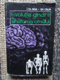 EVOLUTIA GANDIRII IN ANATOMIA OMULUI de I.TH.RIGA si GH.CALIN