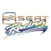 Sticker Seat Racing , Autocolant Sport pentru Tuning si Personalizare Auto