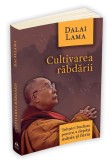 Cultivarea rabdarii. Tehnici budiste pentru a depasi mania si furia &ndash; Dalai Lama