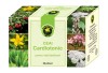 CEAI CARDIOTONIC 20dz HYPERICUM, HYPERICUM IMPEX