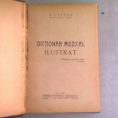 Dictionar muzical ilustrat , A. L. Ivela