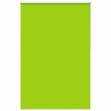 vidaXL Jaluzea cu role opace 155x230 cm Lățime material 151,6 cm 4011347