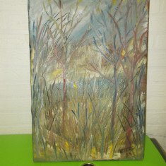 Peisaj de toamna - PICTURA impresionista in ULEI pe PANZA , semnata R. BERG