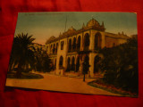Ilustrata Alger - Palatul Guvernului - Colonie Franceza Algeria , color