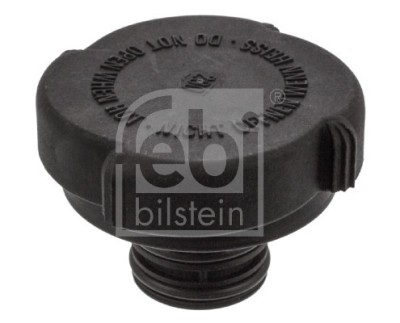 FEBI BILSTEIN 01617 buson,vas expansiune foto