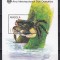 Angola 1998 - Anul Internațional al Oceanului, Colita, MNH