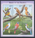 Gambia - PASARI TROPICALE - BL - MNH, Nestampilat