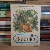 ALEXANDRU DABIJA - BOTANICA : MANUAL PENTRU CLASA A 5-A , 1992 *