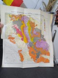 M. Paucă, Carte geologique des monts du Codru et de Moma, circa 1941, 111